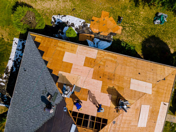 Best Roof Maintenance Services  in Larimore, ND