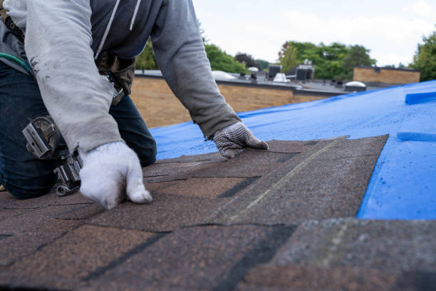 Slate Roofing Contractor in Larimore, ND