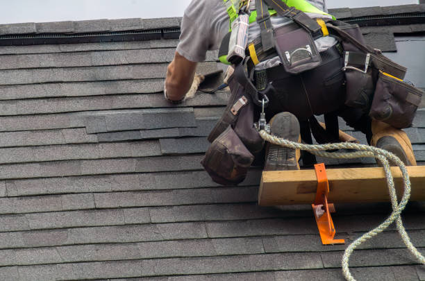Best Commercial Roofing Services  in Larimore, ND