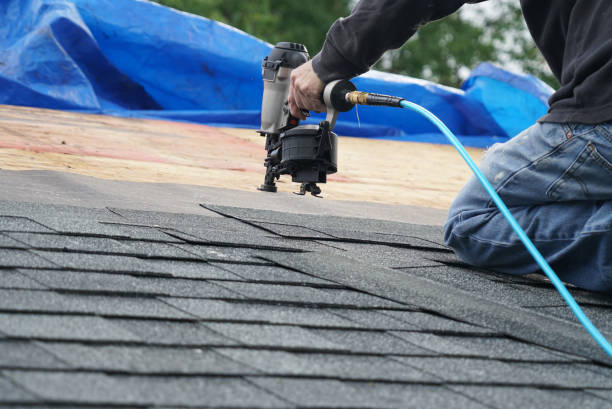 Best Roof Leak Repair  in Larimore, ND