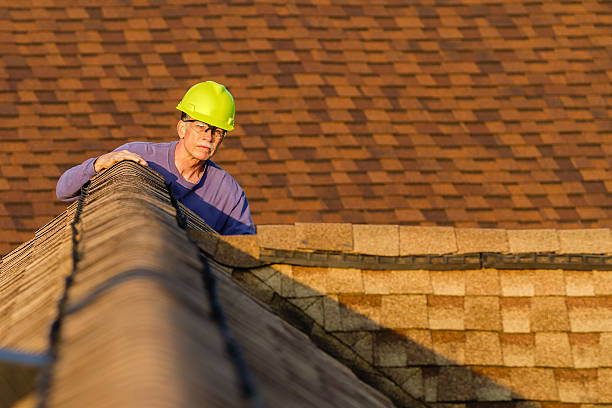 Best Residential Roofing Contractor  in Larimore, ND