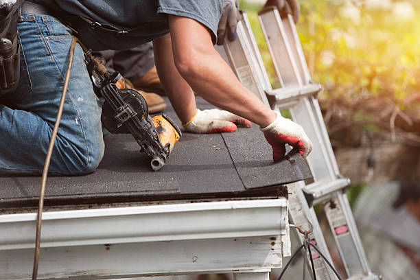 Best New Roof Installation  in Larimore, ND